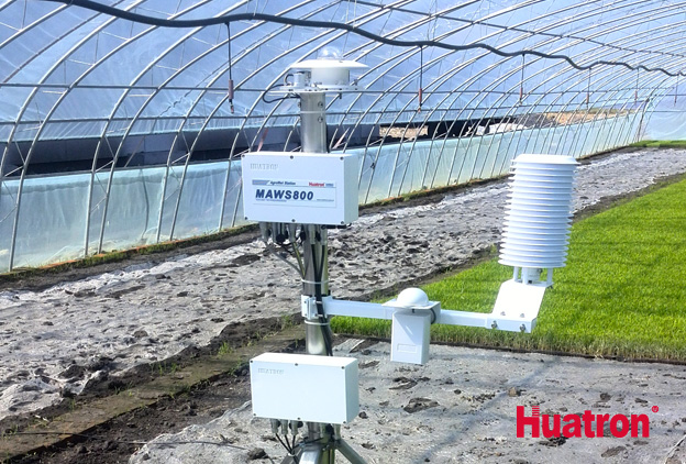 ��������c���L�O�y�����������