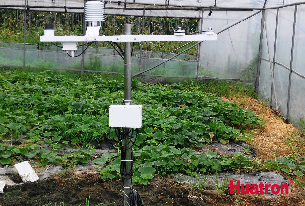 ��������c���L�O�y���߹����L��