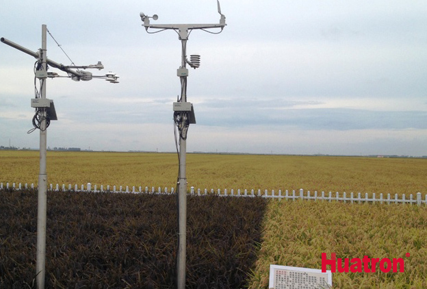 С������B�h���O�y���r�