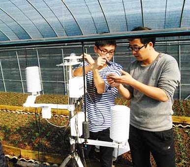 ��������c���L�O�y