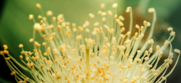 ���ۂ����c����